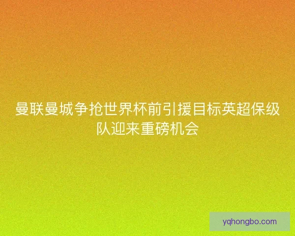 曼联曼城争抢世界杯前引援目标英超保级队迎来重磅机会