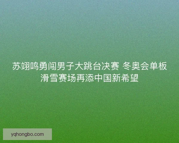 苏翊鸣勇闯男子大跳台决赛 冬奥会单板滑雪赛场再添中国新希望